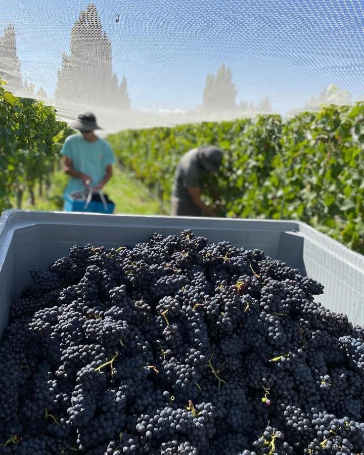 'The Crib' On Legacy Vineyard Villa Alexandra Bagian luar foto