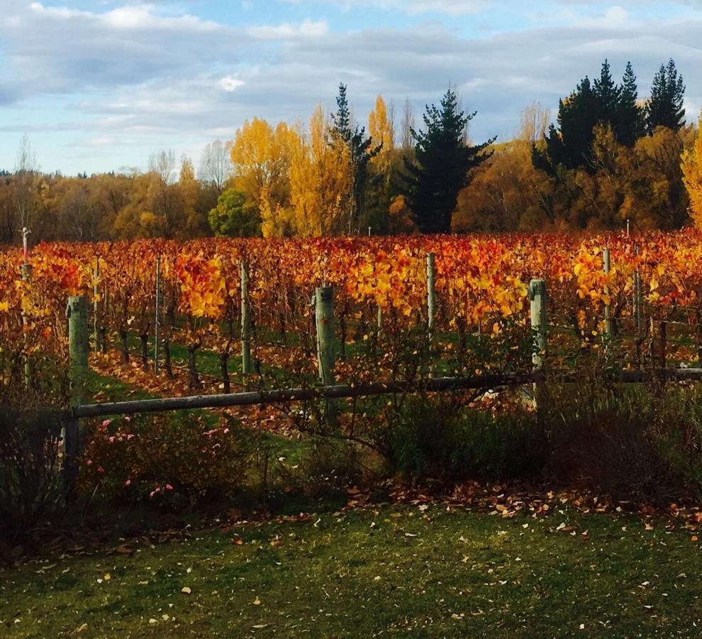 'The Crib' On Legacy Vineyard Villa Alexandra Ruang foto