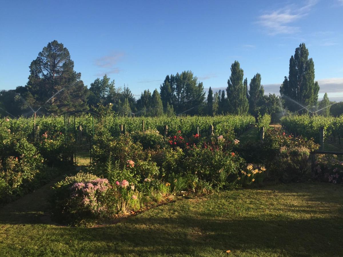 'The Crib' On Legacy Vineyard Villa Alexandra Ruang foto